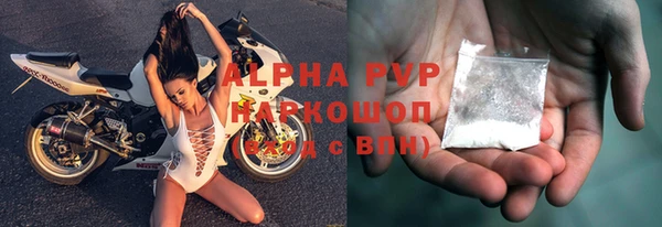 стафф Заполярный