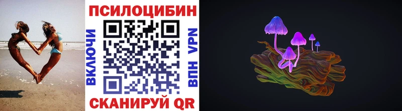 Псилоцибиновые грибы мицелий где можно купить Богучар